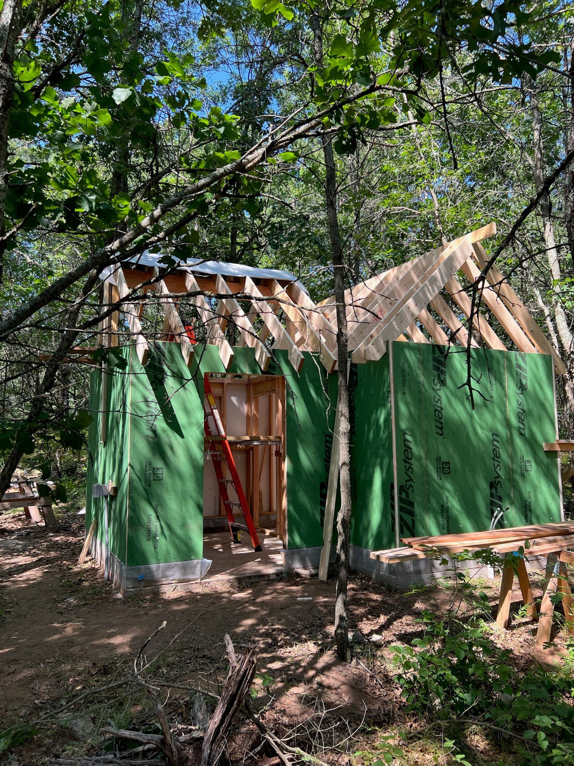 what's the story - partially finished sauna structure, visible roof beams in a shadowed forest with sun coming through trees